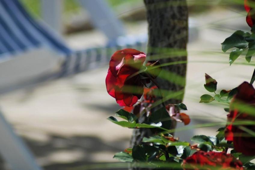 Rustikales Haus in Lukoran mit privatem Parkplatz - foto 25