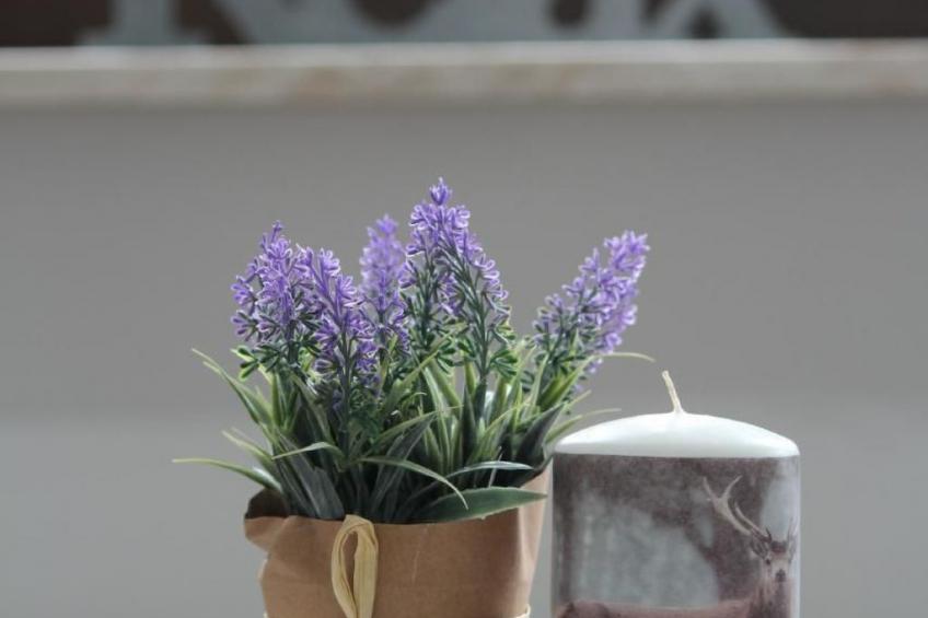 in Bedburg-Hau - foto 6