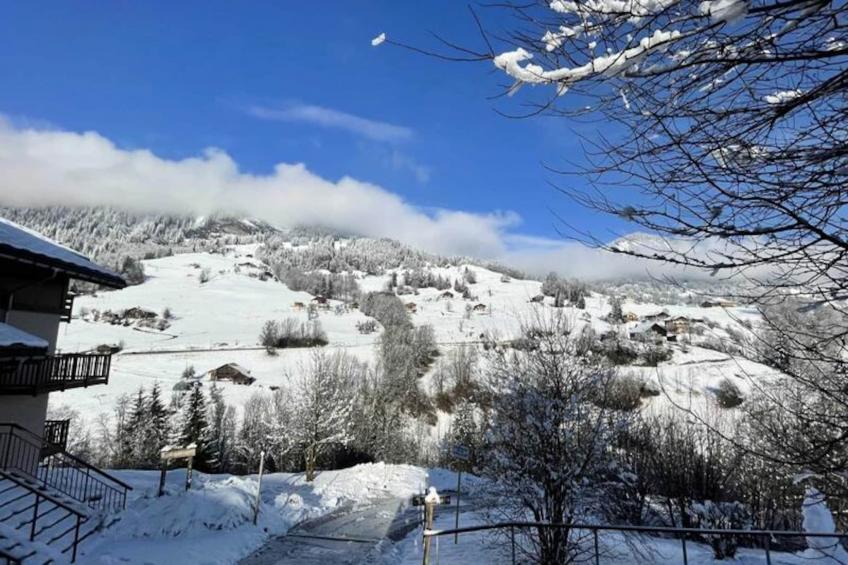 Les Chalets Des Evettes - foto 11