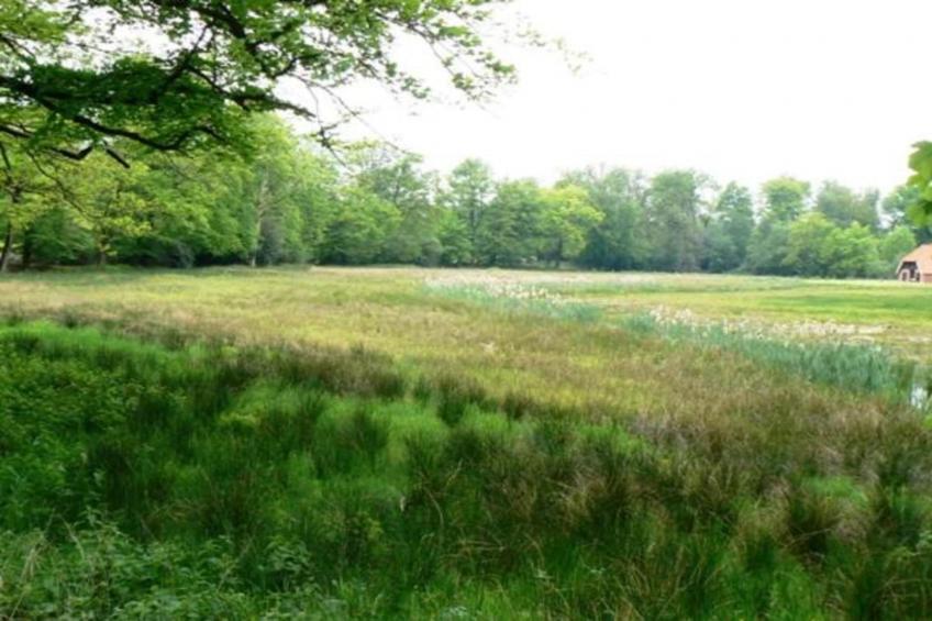 Vakantiecentrum 't Schuttenbelt 3 - foto 37