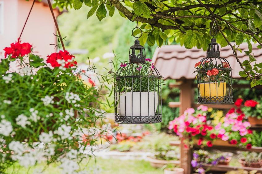 Enchanting Rural Apartment with Terrace - Studio Apartment with Terrace - foto 18