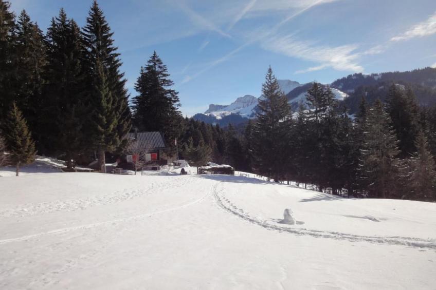 Maiensäss Romantica - foto 24