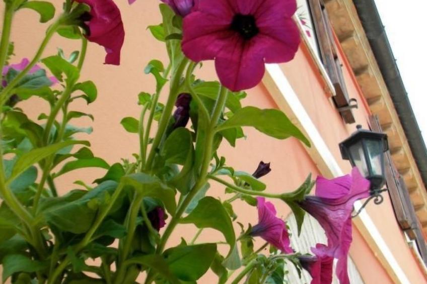 in der Gegend zwischen Meer und Berghang - foto 18