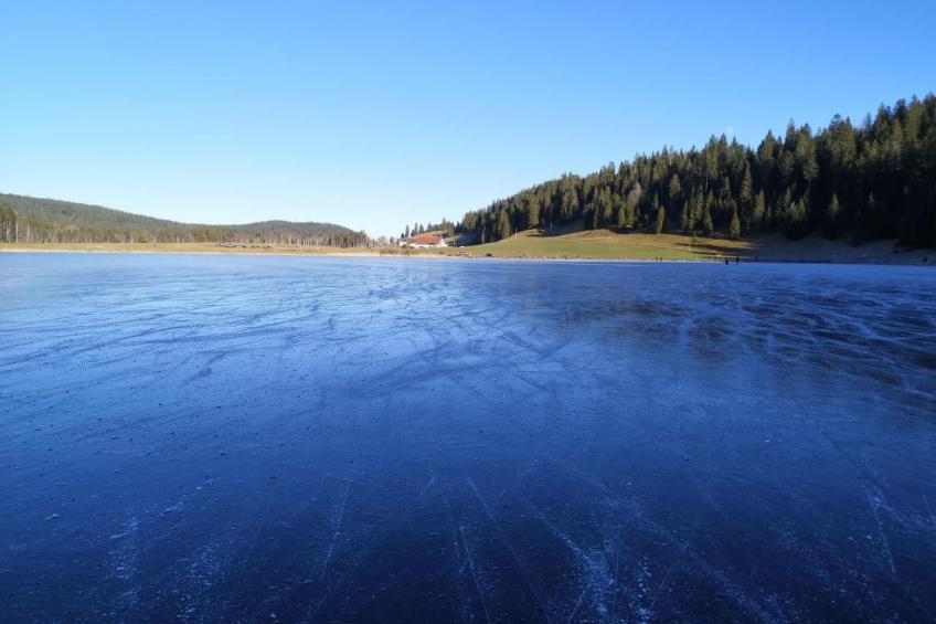 Wohnung in altem, renoviertem Bauernhaus - foto 48