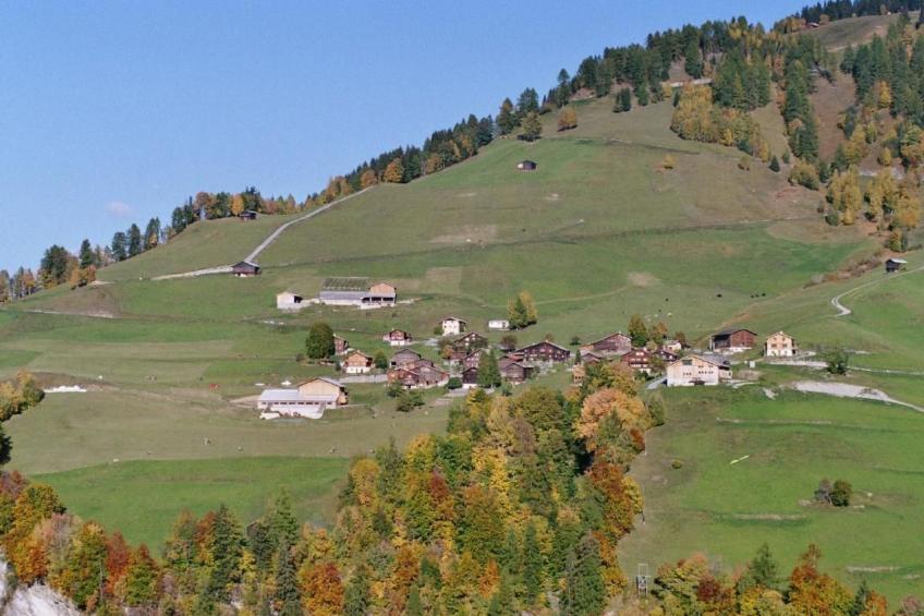 Altes Walserhaus - foto 8