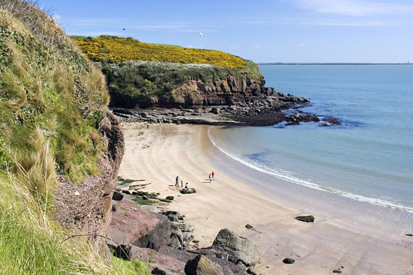 Forest Haven HH No 6 - foto 2