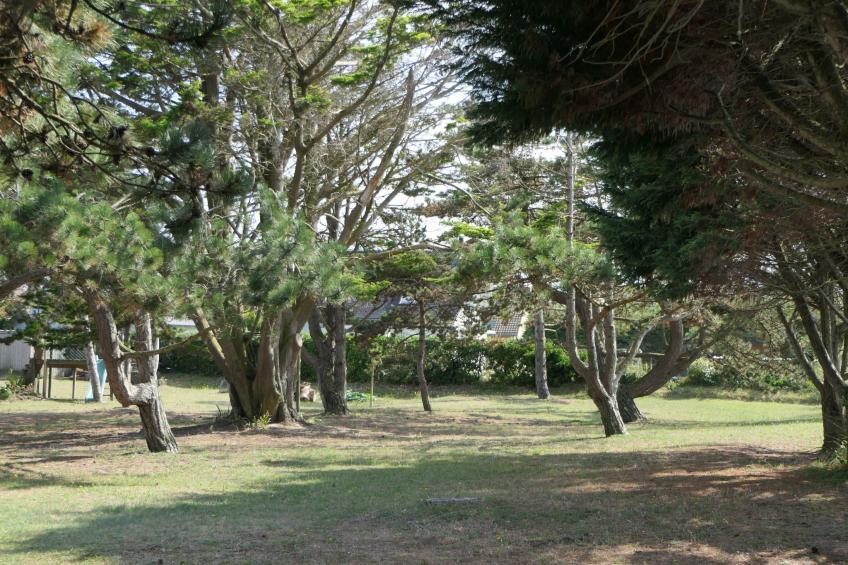 "8883" in Strandnähe - foto 5