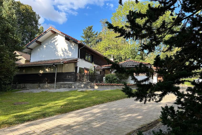 L'Ecureuil Blanc - foto 19