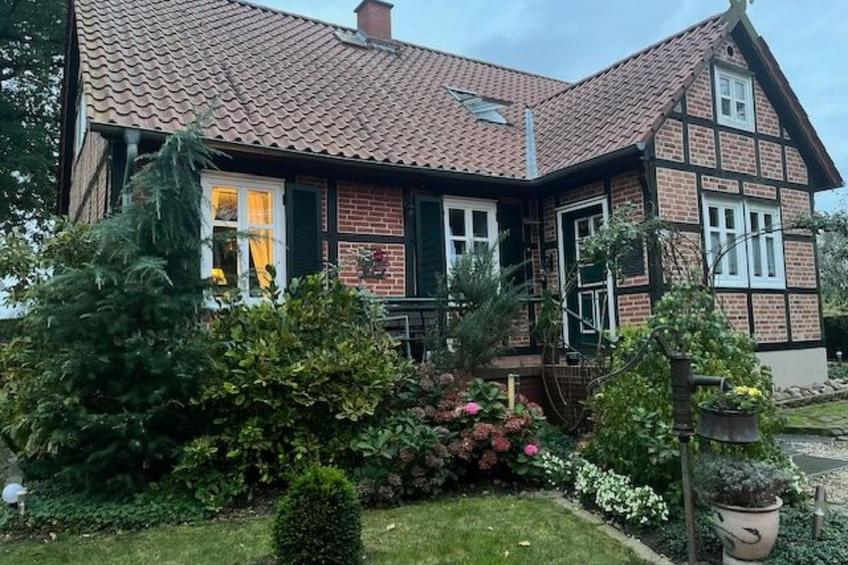 Haus Elbrose inmitten von Rosen mit Elbdeichzugang