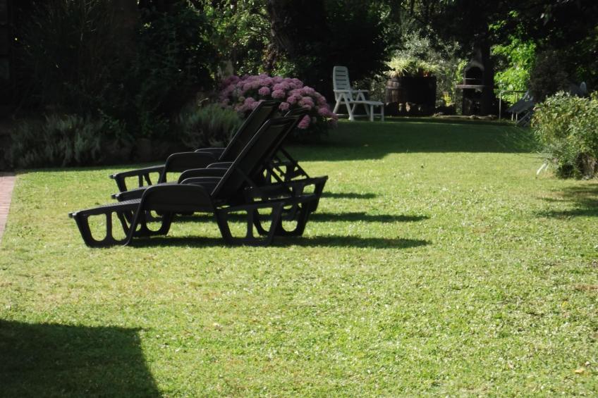 Das Olivenhaus - foto 15