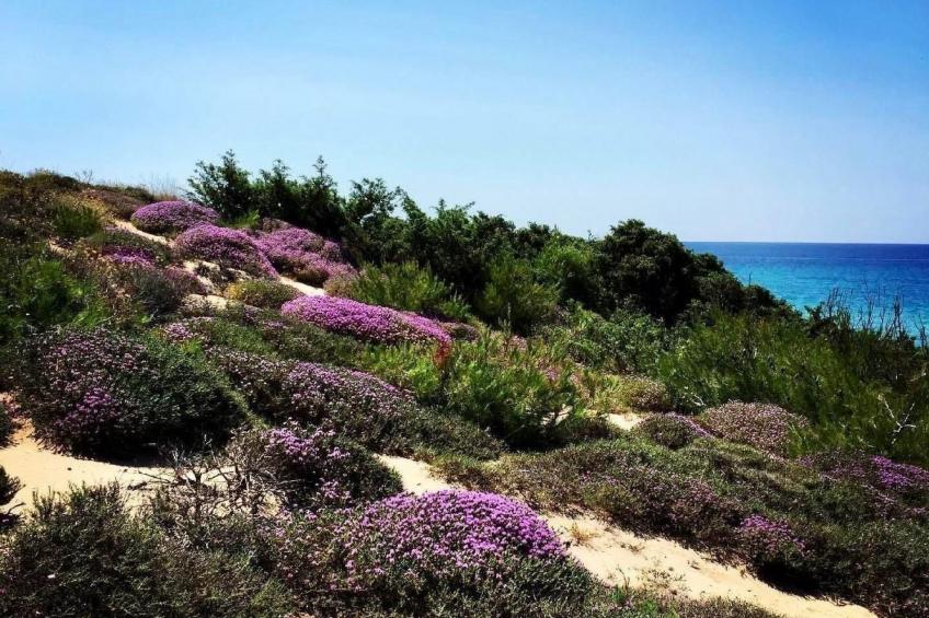 Villa mit privatem Pool - foto 41