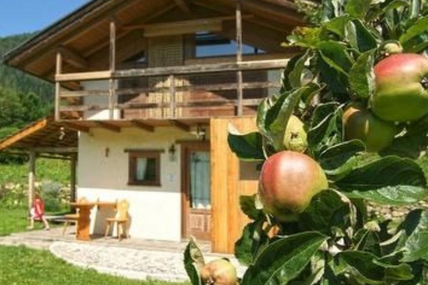 Romantisches Chalet in den Wiesen der Dolomiten - foto 20