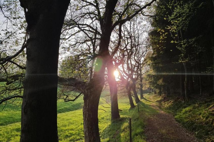 Ferienwohnung Christina - foto 26