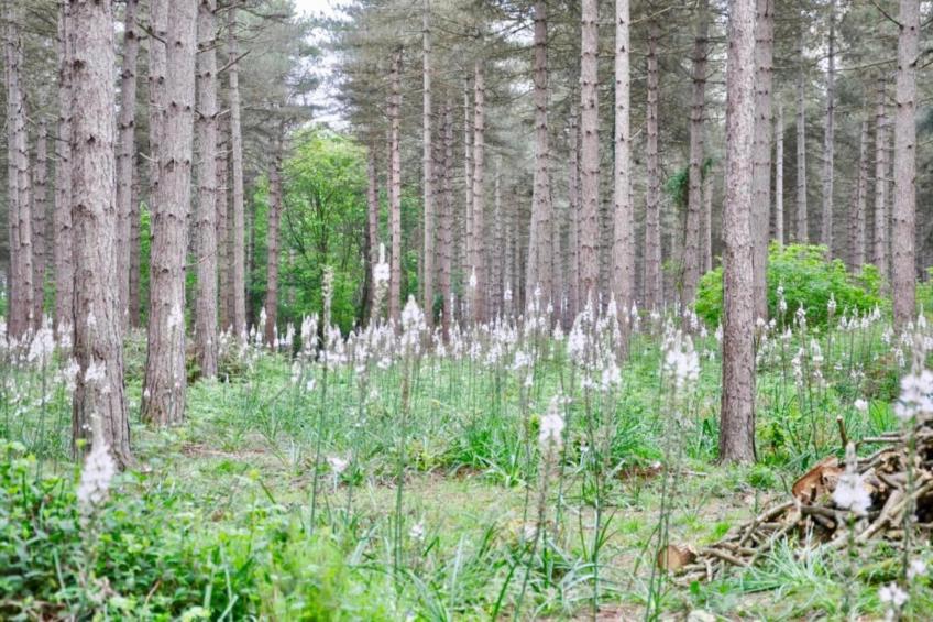 Le Château de La Gau - foto 31