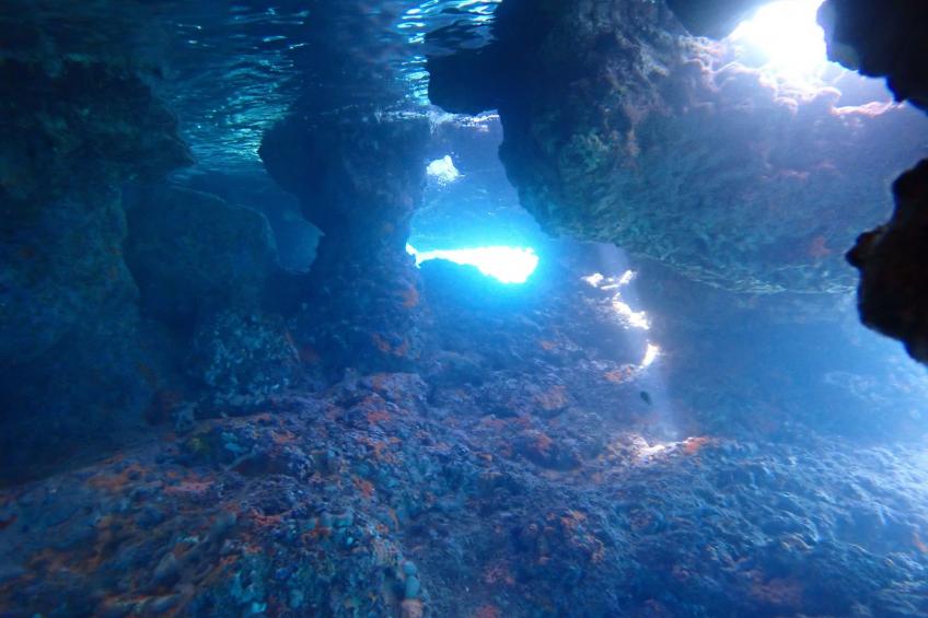 Villa "Dionysos" mit privatem Pool - foto 48