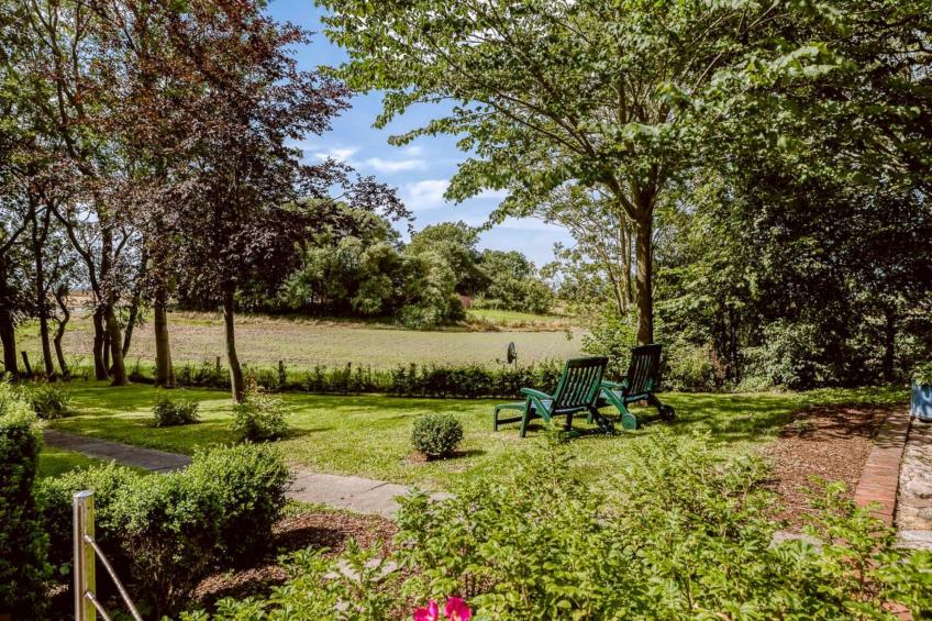 Reetdachhaus inmitten von Wiesen und Feldern - foto 6