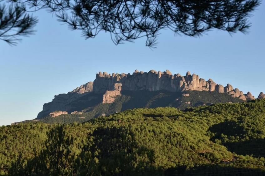 Can Códol 1 - foto 35