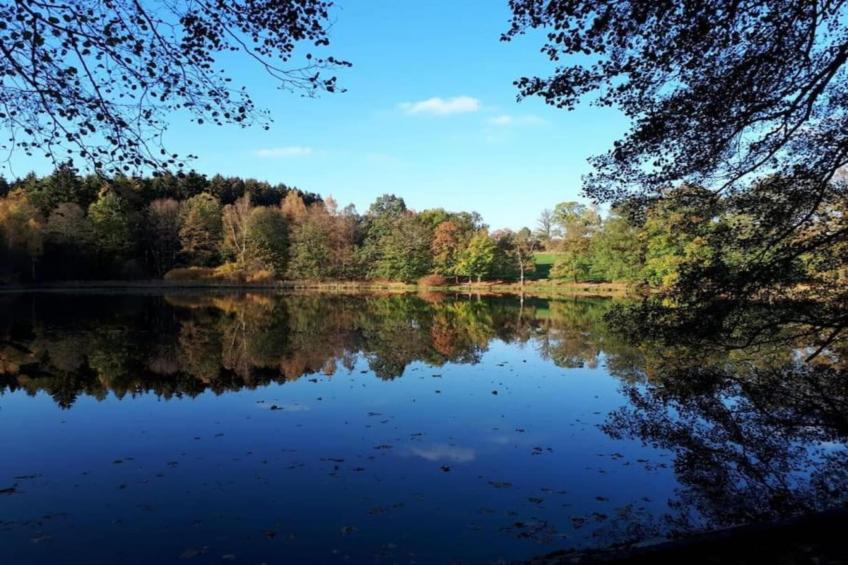 Im Erzgebirge - foto 13