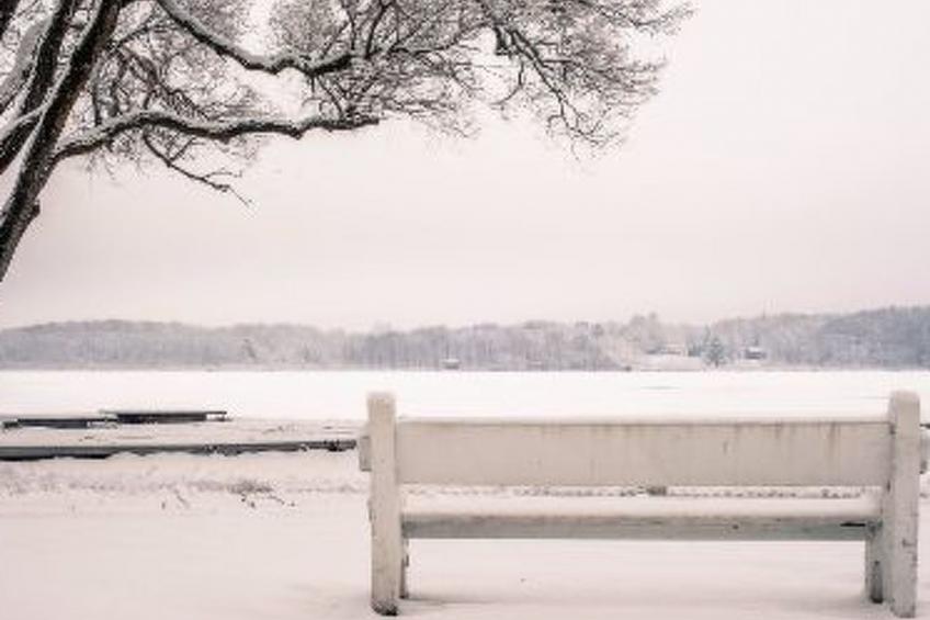 Meister´s Ferienhaus - foto 22