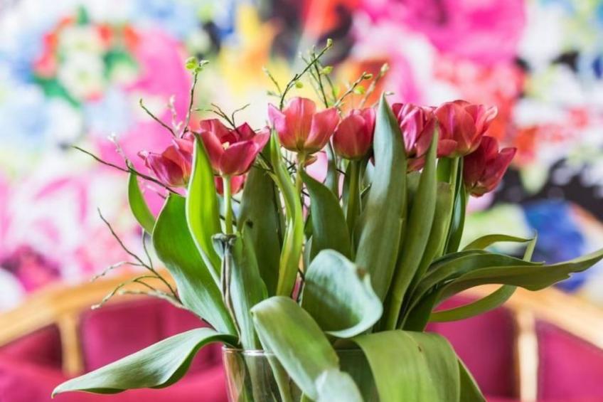 Villa Piemonte - foto 16