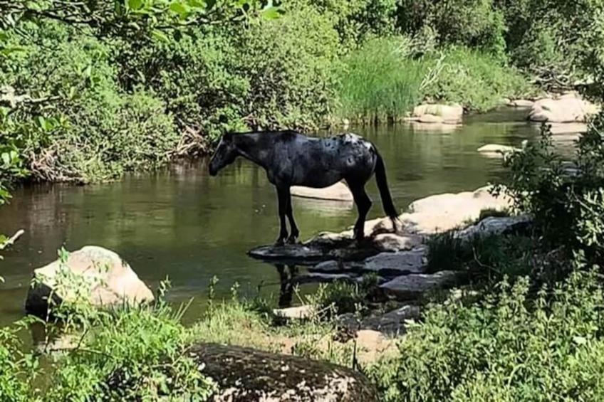 Gîte de France Le bes, à la chaldette 3 épis - foto 14