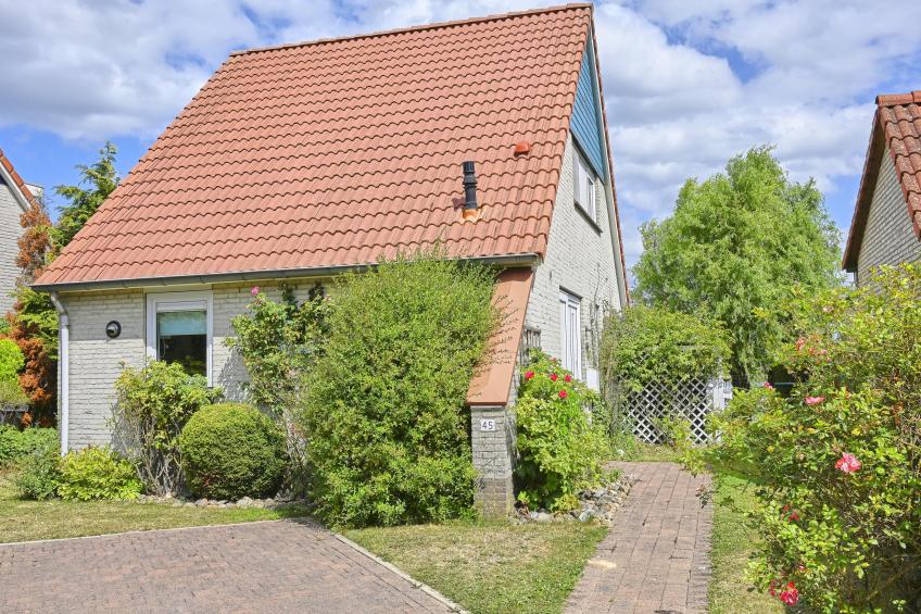 Rose Garden - foto 49