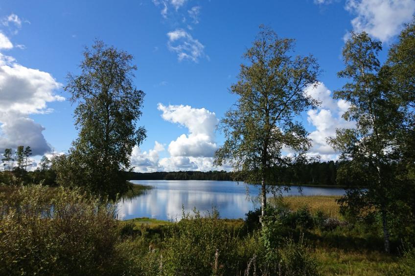 Saxarsviken - foto 26