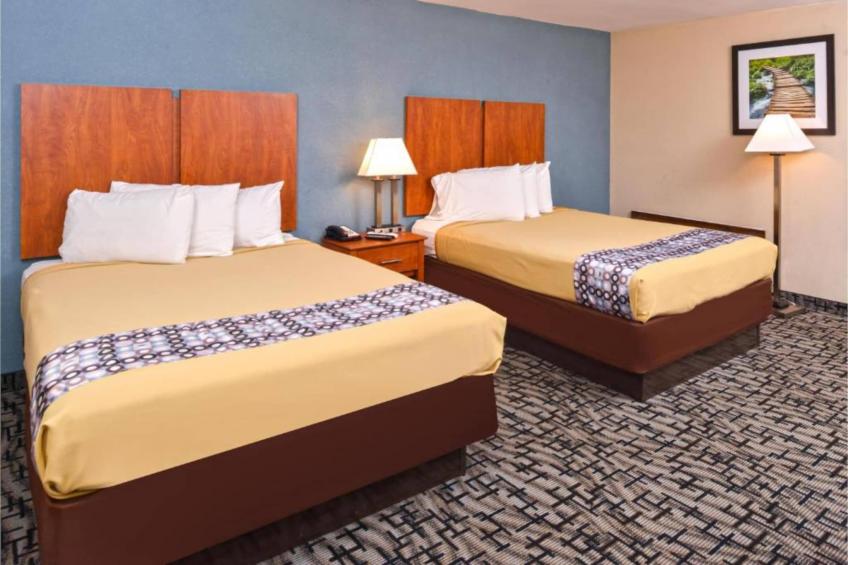 MS6_2 Queen Beds | Non-Smoking, Micfridge_US_BRI004 - foto 18