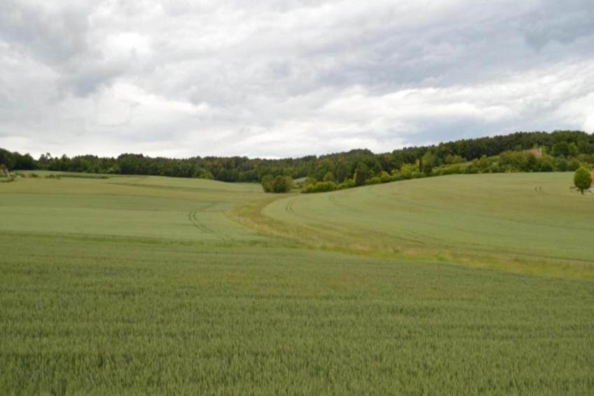 Maison de vacances - Sossay - foto 18