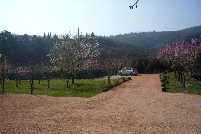 Anwesen mit privatem Garten und Grill - foto 21