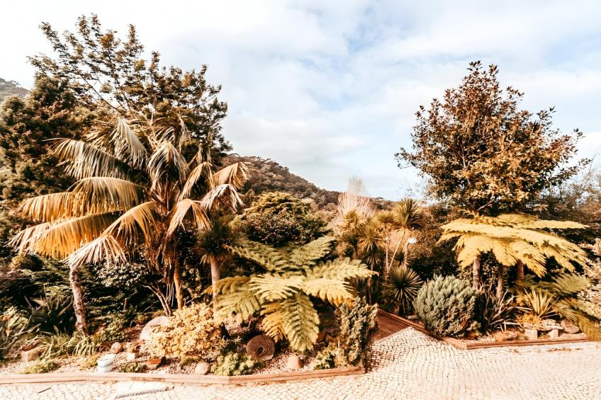 Oliveira's Houses By Gthouse - foto 33