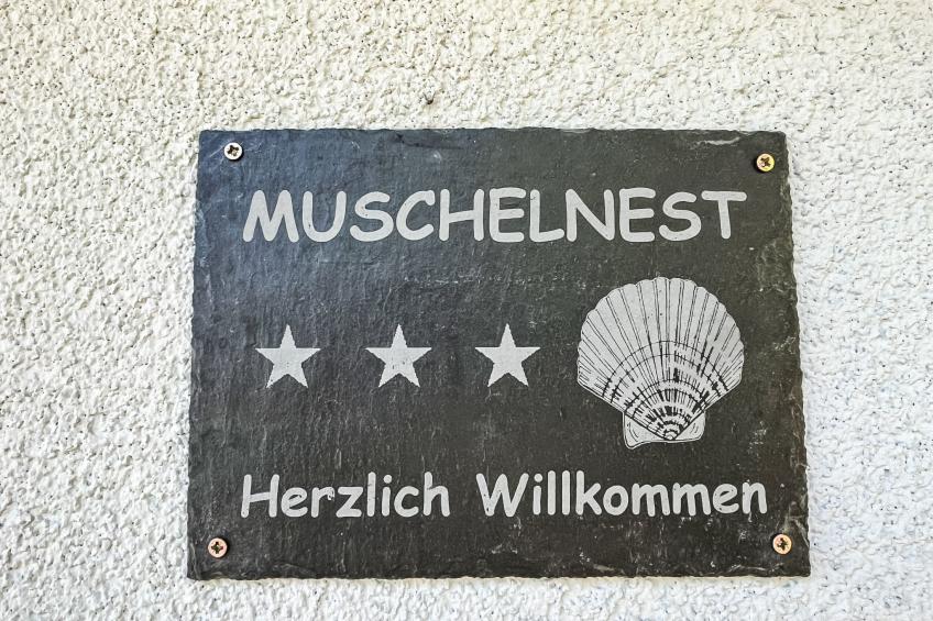 Möwen und Muschel Nest - foto 6