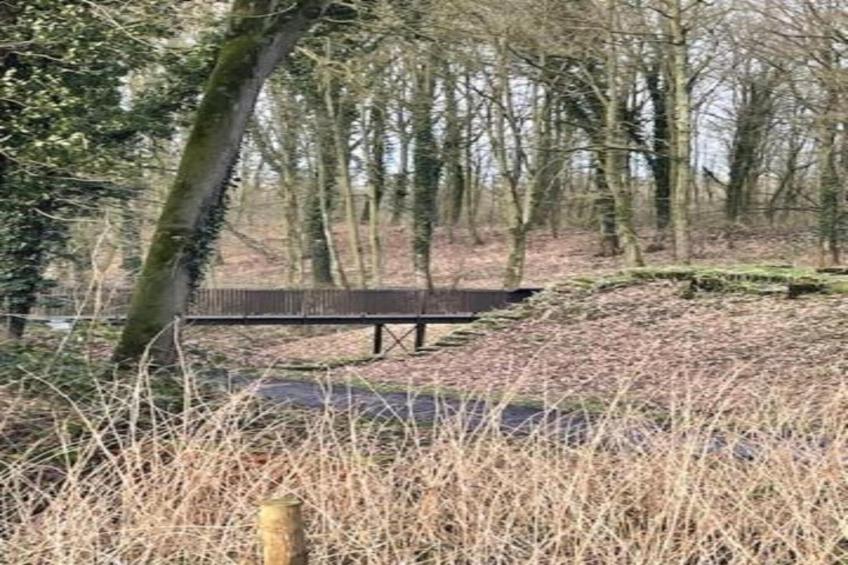 Hommelhove - foto 28