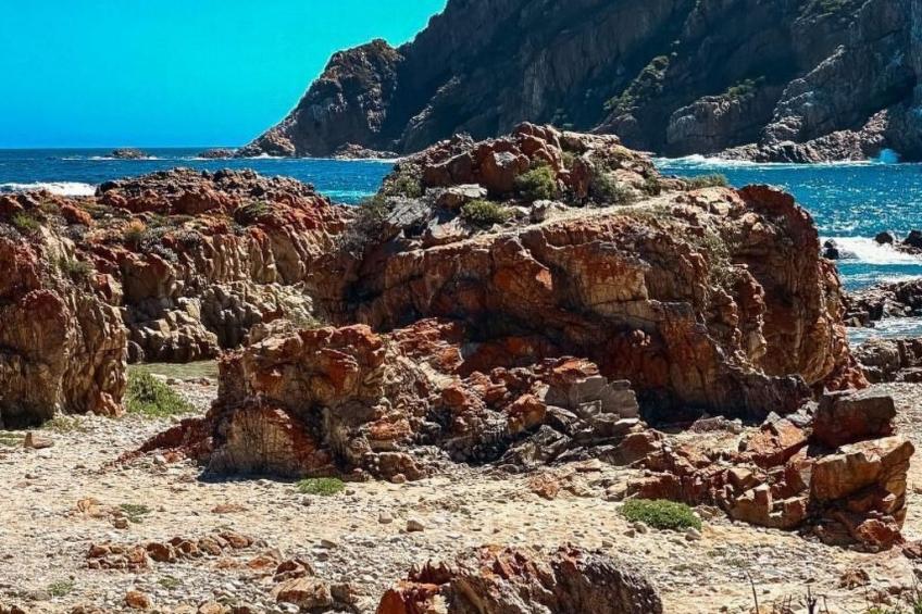 Villa Seaview - The Heads in Knysna (Garden Route) - foto 9