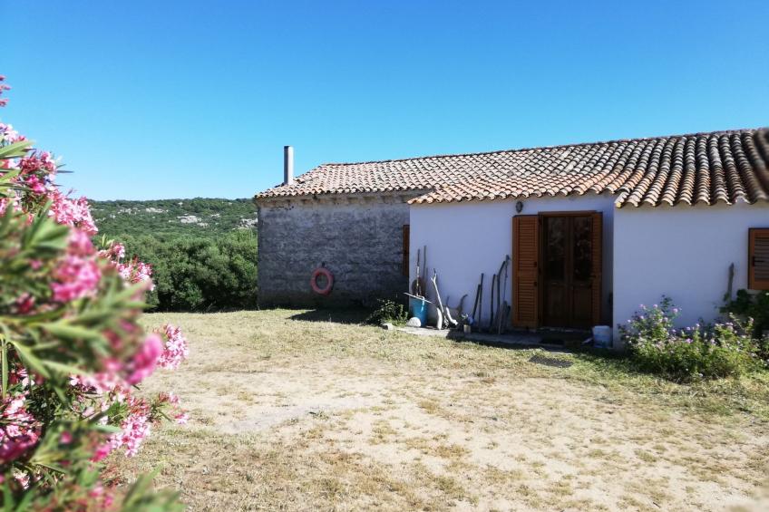 Stazzo mit Garten in Luogosanto - foto 4