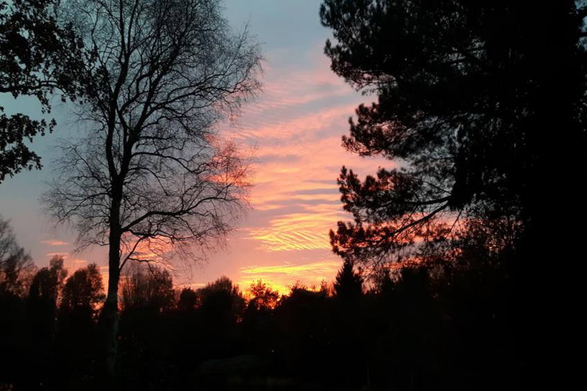 HasseBassie - foto 11
