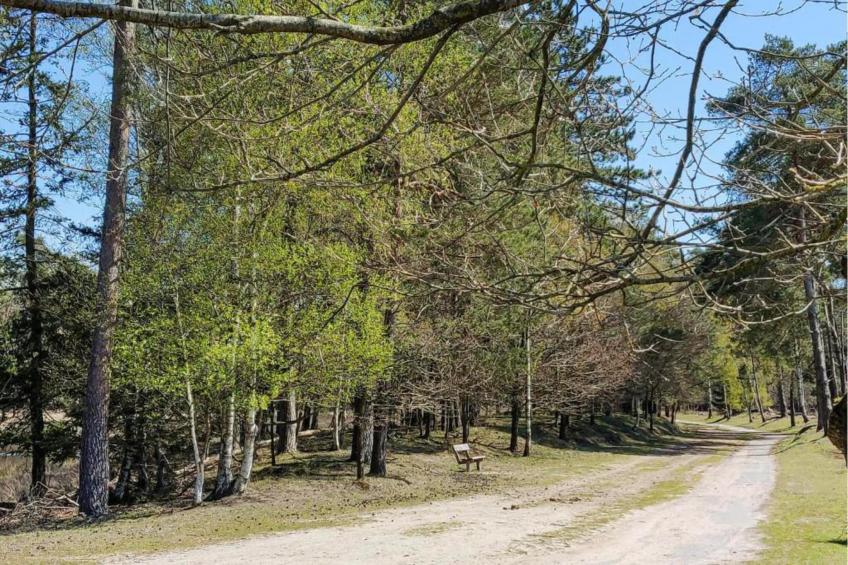 Vakantiepark de Noordster 3 - foto 39