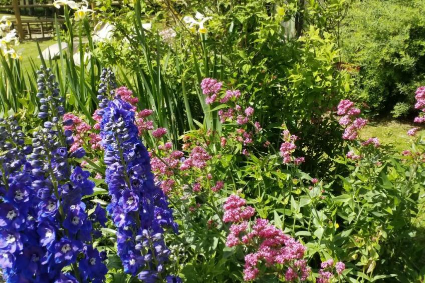 Charmante normannische Ferienwohnung Les chataigniers 2 Zimmer - foto 34