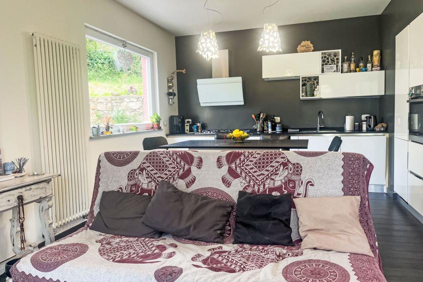 Le radici dell´ulivo - foto 4