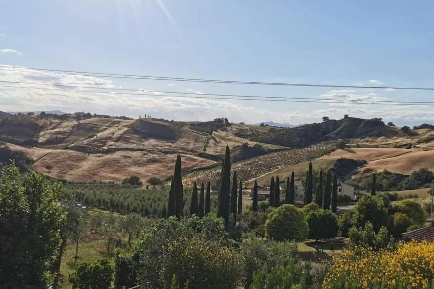 Schornsteinfegerhäuschen - foto 29