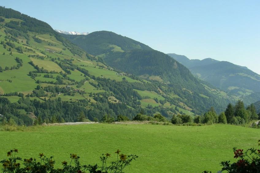 126935 - foto 25