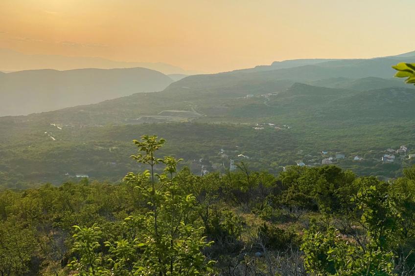 Villa Theresa - foto 49