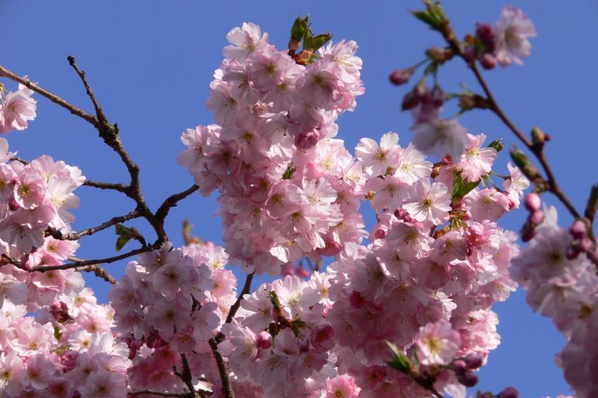 Anspruchsvolle Ferienvilla mit Panoramablick - foto 22