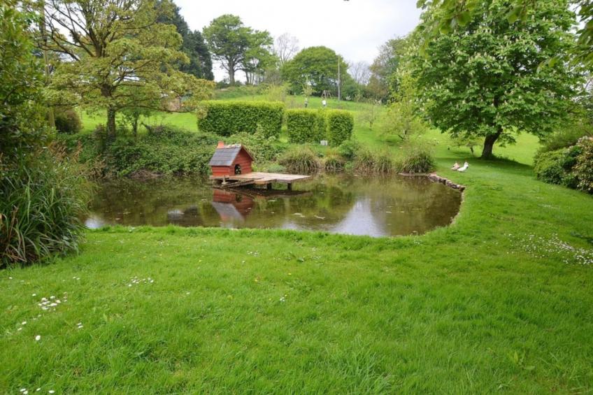 Cherry at Buckland Court - foto 16