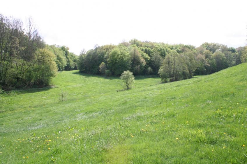 Kaifenheimer Mühle - foto 29