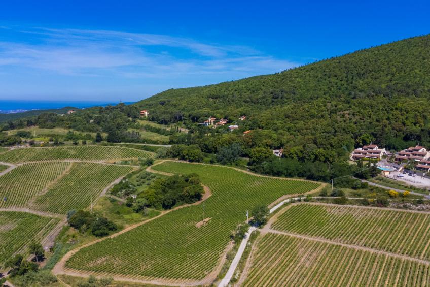 Ferienanlage Poggio di Nocola (RIP130) - foto 35