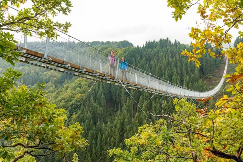 Panoramablick - foto 17