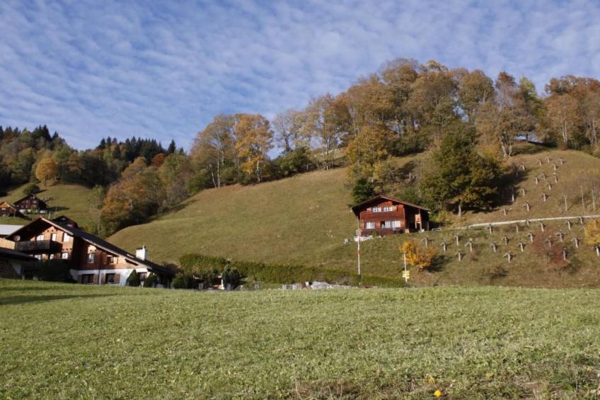 Weissenberge Gfell - foto 12