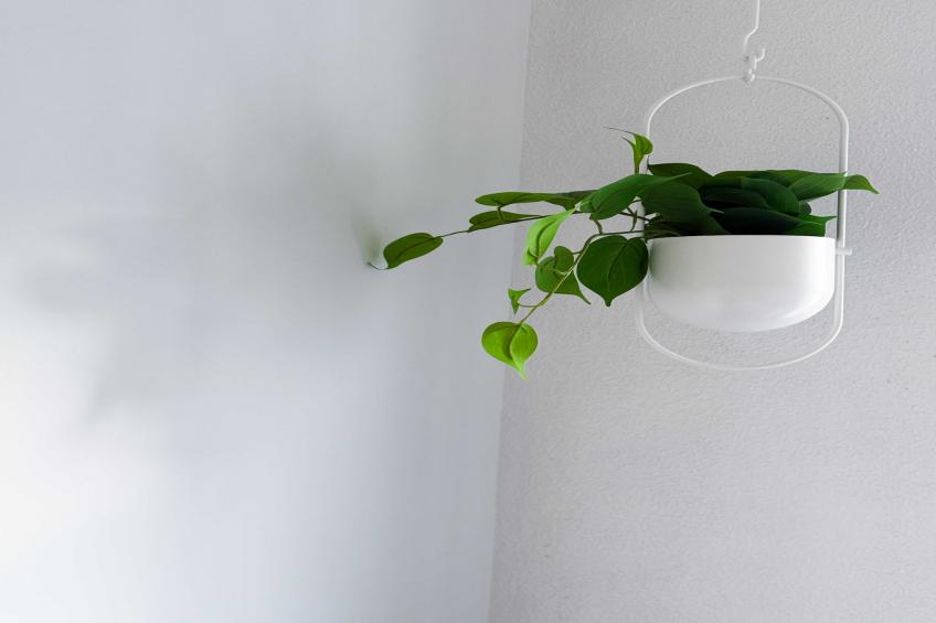 JB-16-AINAY-SYLVESTRE-2 - foto 12