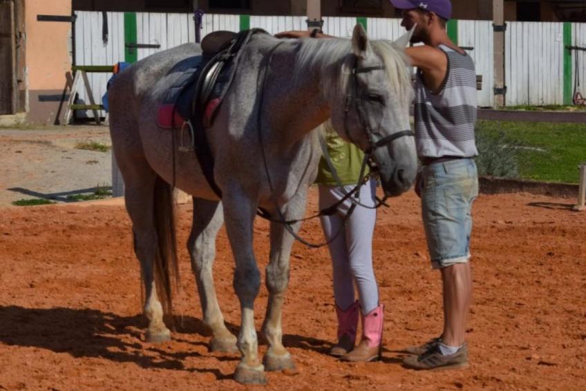 Zevnik Quiet Retreat with Stunning Views and Equestrian Activities - One Bedroom Apartment - foto 30